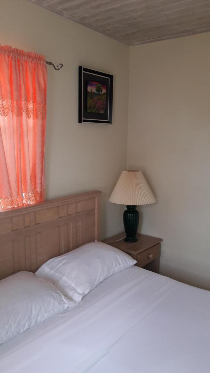 Sue'S Homestay ไครสต์เชิร์ช ภายนอก รูปภาพ