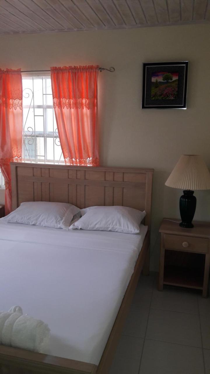 Sue'S Homestay ไครสต์เชิร์ช ภายนอก รูปภาพ
