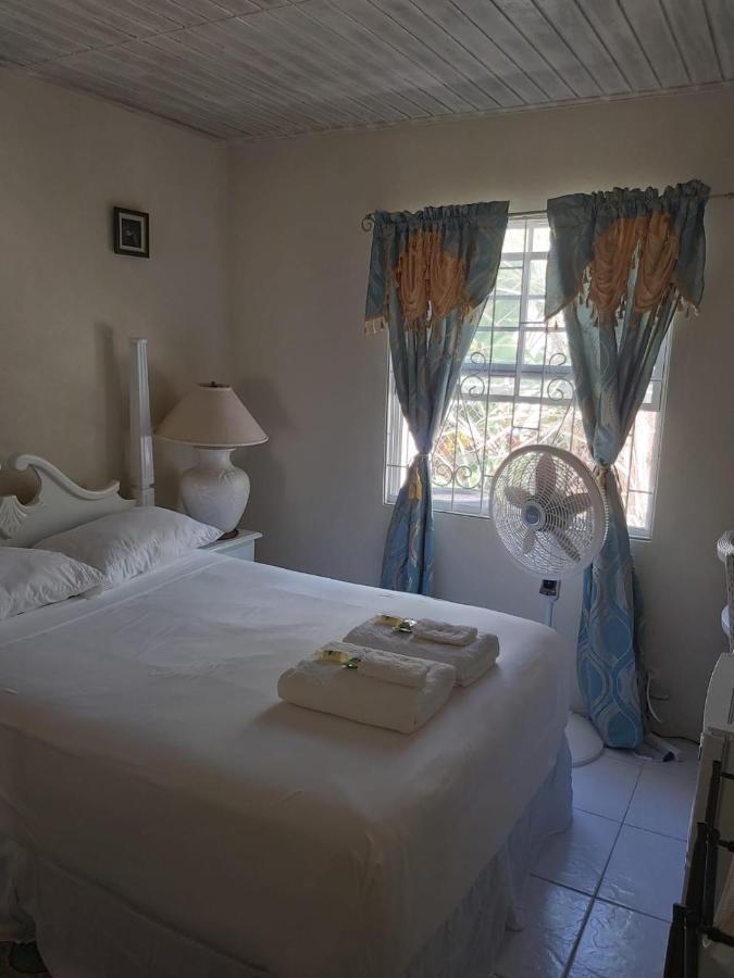 Sue'S Homestay ไครสต์เชิร์ช ภายนอก รูปภาพ